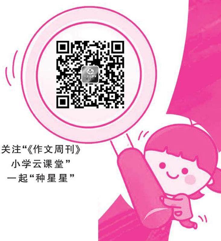 奇妙之旅的插图