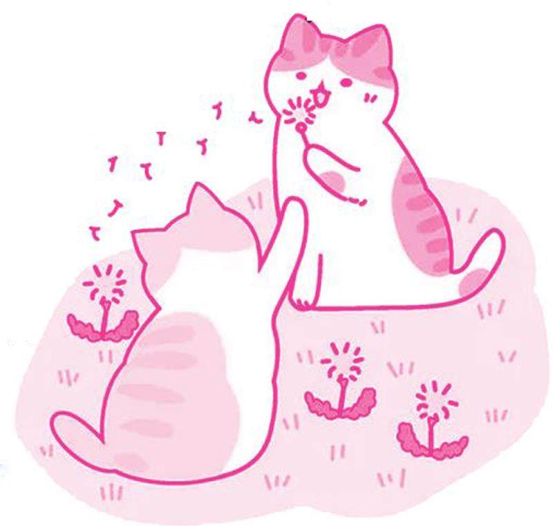我喜欢猫的插图