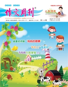 作文周刊·小学二年级版