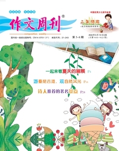 作文周刊·小学二年级版